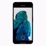Nothing Phone