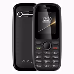 Peaq PMP 12