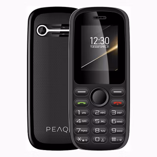 Peaq PMP 12
