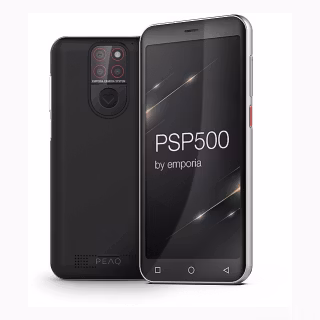 Peaq PSP 500