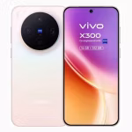 Vivo X300