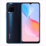 Vivo Y21G